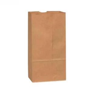 Paper Bag Kraft #20 ,  8.25 in x 5.13 in x 16"  - 500/case