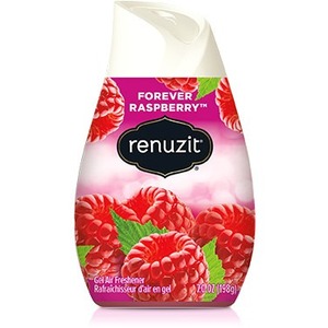 Renuzit Forever Raspberry Air Freshener - Each