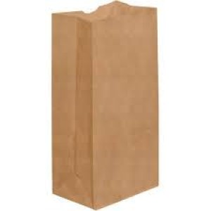 Paper Bag Kraft #10, 6-1/2" x 4" x 13-3/8"  - 500/case