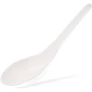 Disposable Plastic Soup Spoons - Asian Chinese Spoon - 2000/CS