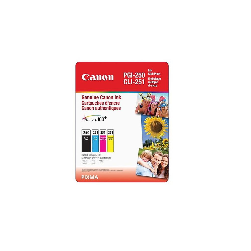 Canon  Original PGI-250/CLI-251 CMY Black/Colour Ink Cartridge Club Pack, 4/Pack, (6497B009)