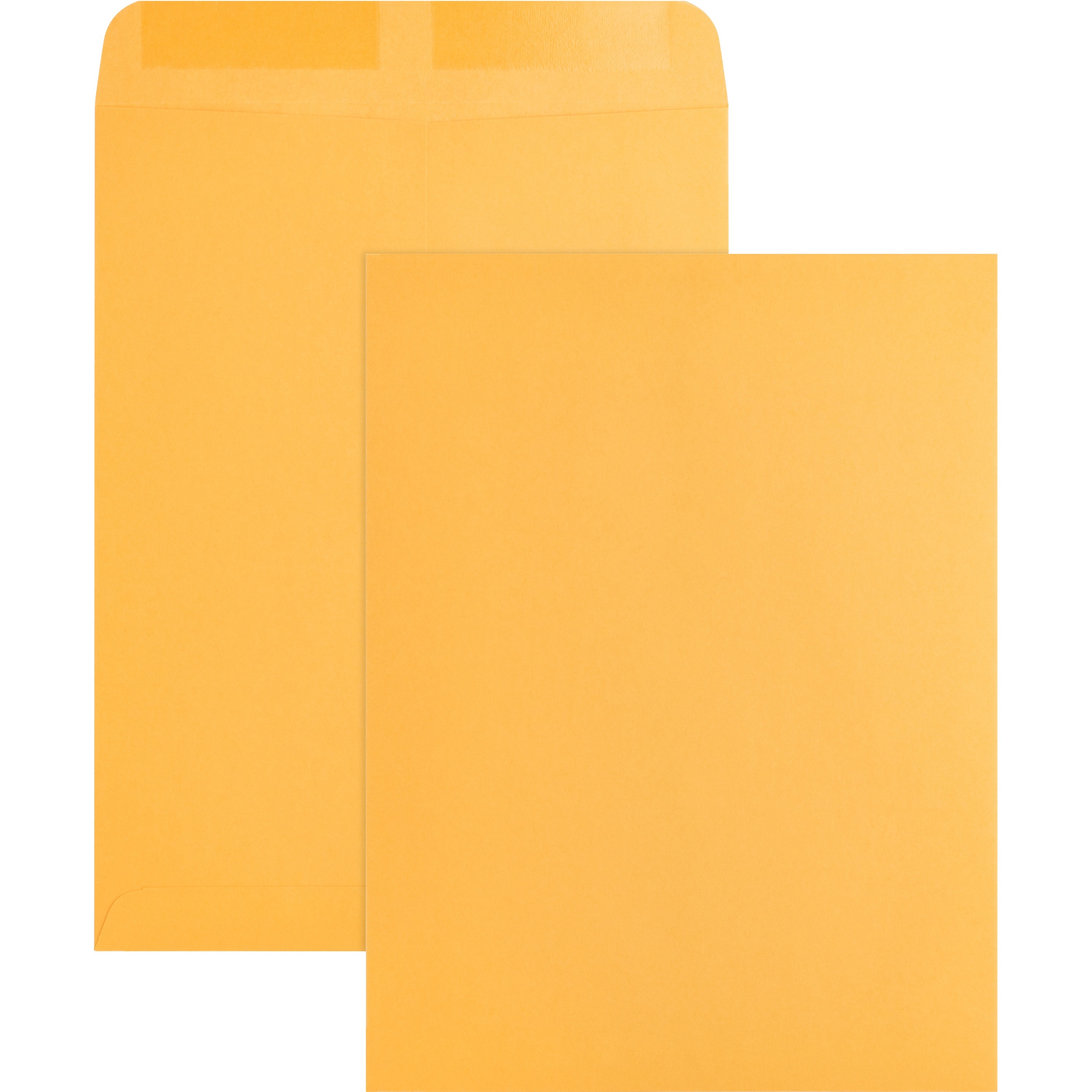Business Source 9'' x 12'' Kraft Gummed Catalog Envelopes - 250/Box
