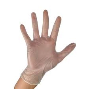 Powder Free Disposable Clear Vinyl Gloves - Size Large - 100 Pk