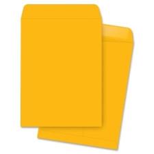 Business Source 10 x 13" Kraft Catalog Gummed Envelopes - 250/Box