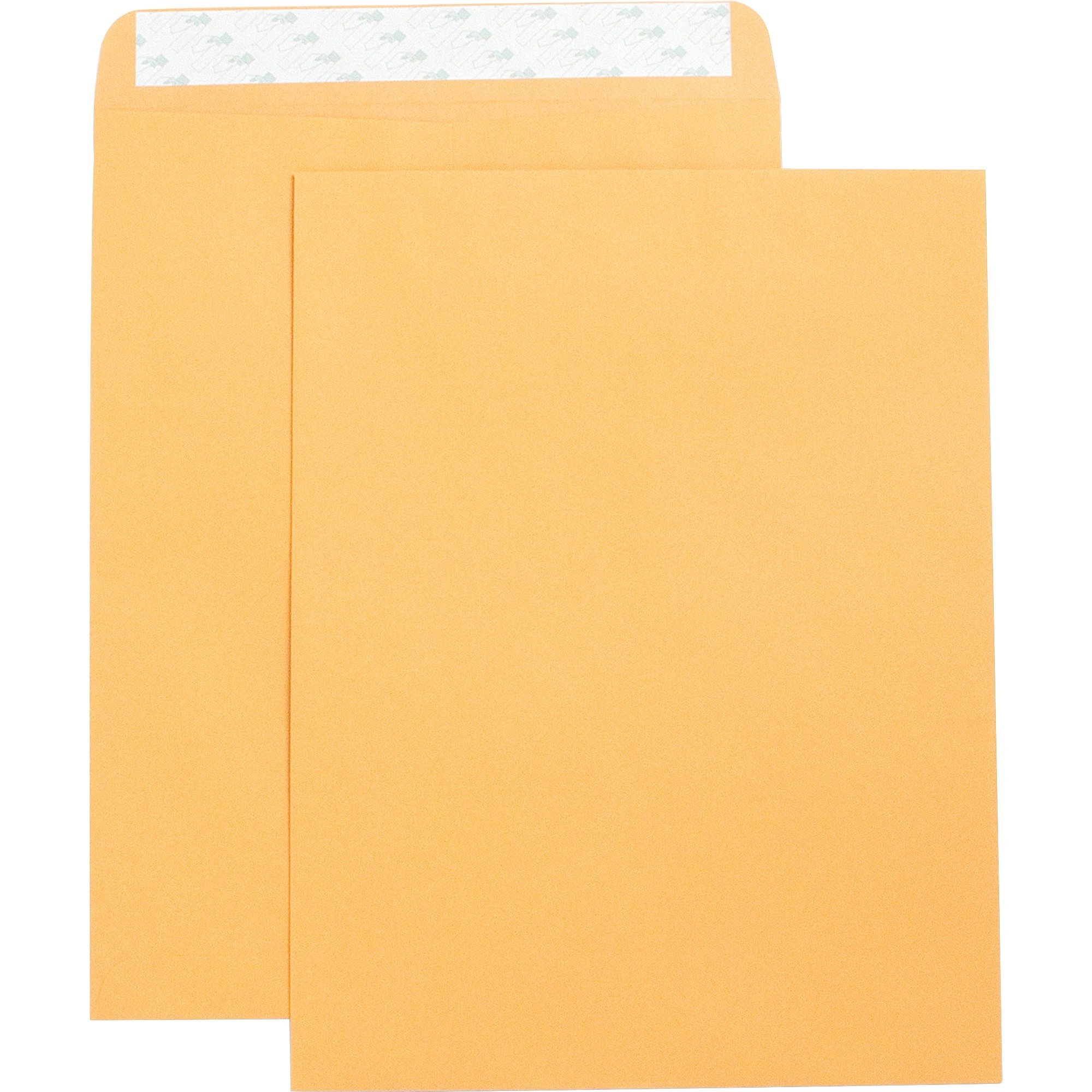 Business Source #13 (10'' x 13'') Self Adhesive Kraft Catalogue Envelopes - 250/Box