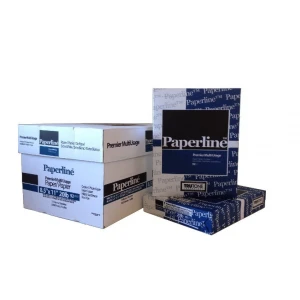 Paperline Blue Copy Paper , 8.5 x 11  (92 Bright) 20Ib.  500 sheets x 10 Reams.  5000 sheet Carton.
